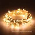 33FT 10M 100LED 5M 50LED 5V USB LED String Silver Copper Wire String Lights Decoración de la boda al aire libre interior